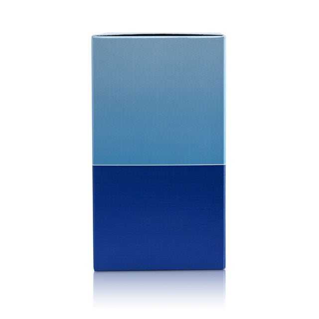 Skinn by Titan Amalfi Bleu 90ML Perfume for Men