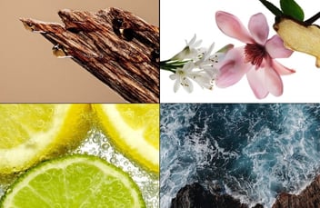 What are the Fragrance families and How do they smell