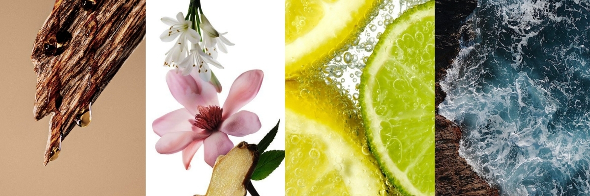 Main Blog Banner