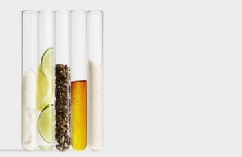 What is the difference between Eau de Parfum (EDP) and Eau de Toilette (EDT)